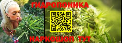 ГАЛЛЮЦИНОГЕННЫЕ ГРИБЫ Нальчик