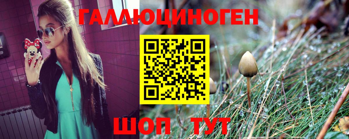 Галлюциногенные грибы MAGIC MUSHROOMS Тамбов