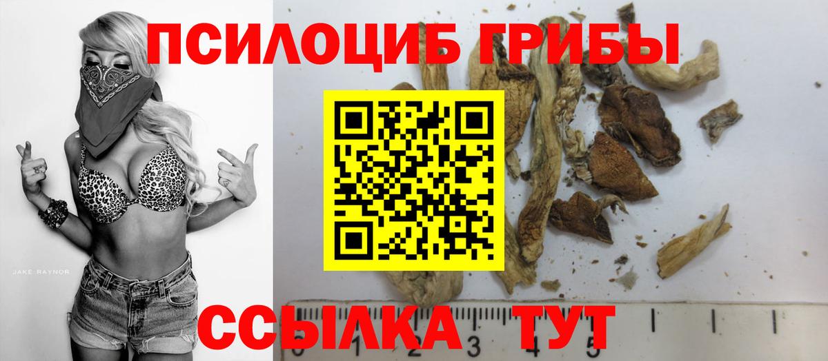 Псилоцибиновые грибы Cubensis  Псилоцибиновые грибы Psilocybine cubensis  Вход с VPN  Тамбов 